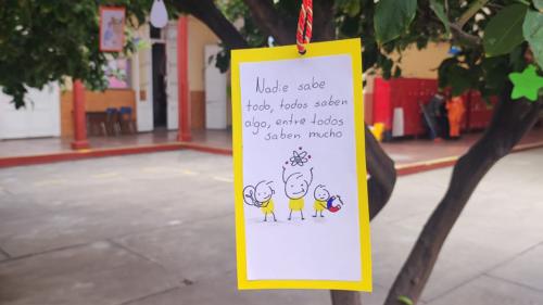 libro11