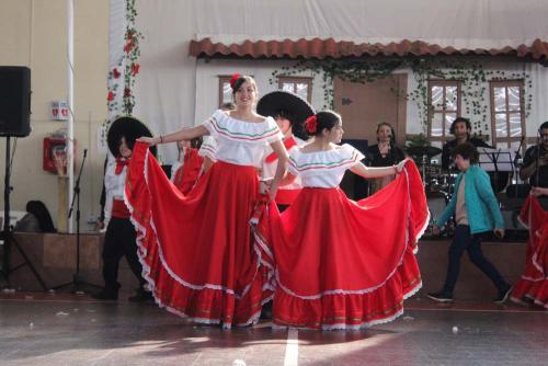 Fonda_Criolla (238)