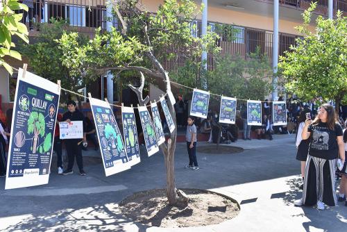 feria_antropoceno (6)
